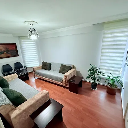 With Kitchen In The Center Apartment *