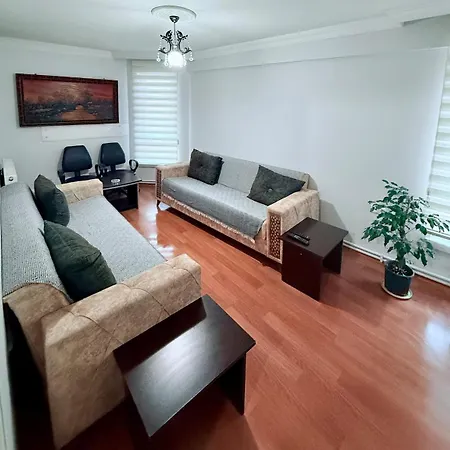 With Kitchen In The Center Apartment