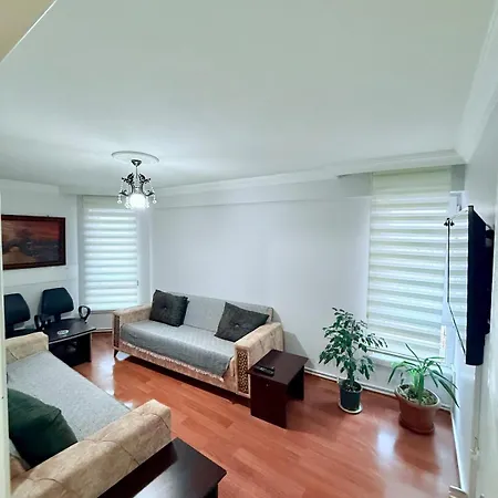 Apartment With Kitchen In The Center